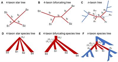 Short branch attraction in phylogenomic inference under the multispecies coalescent
